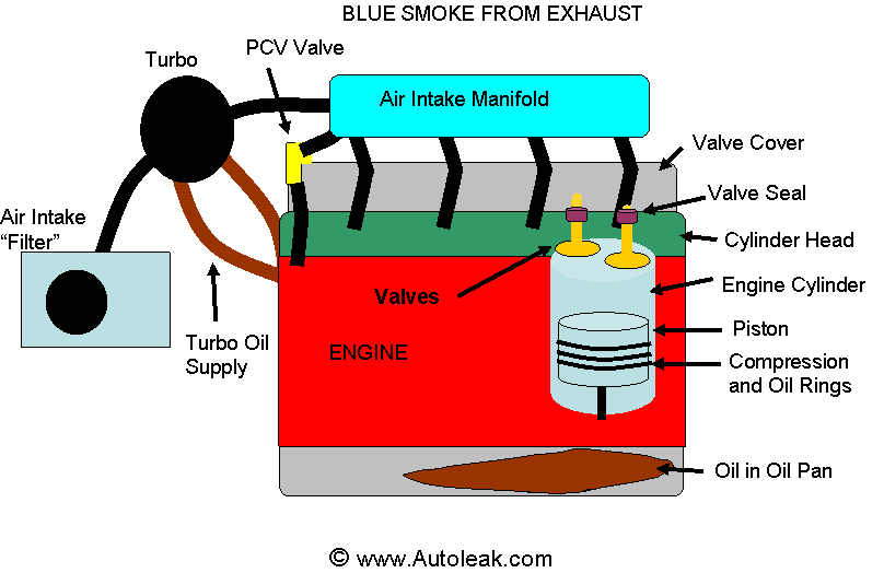 Blue Smoke From Exhaust - Reasons why - Link to www.AutoLeak.com