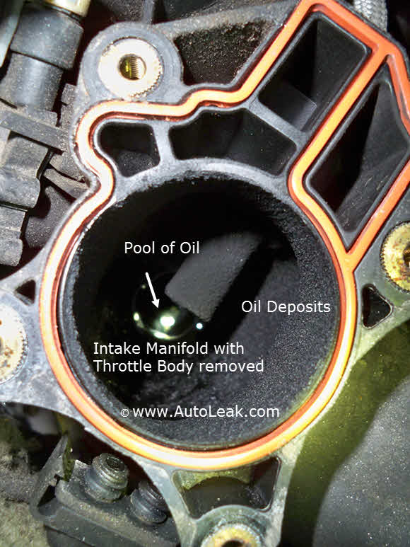 Oil in Throttle Body, Stuck PCV Valve